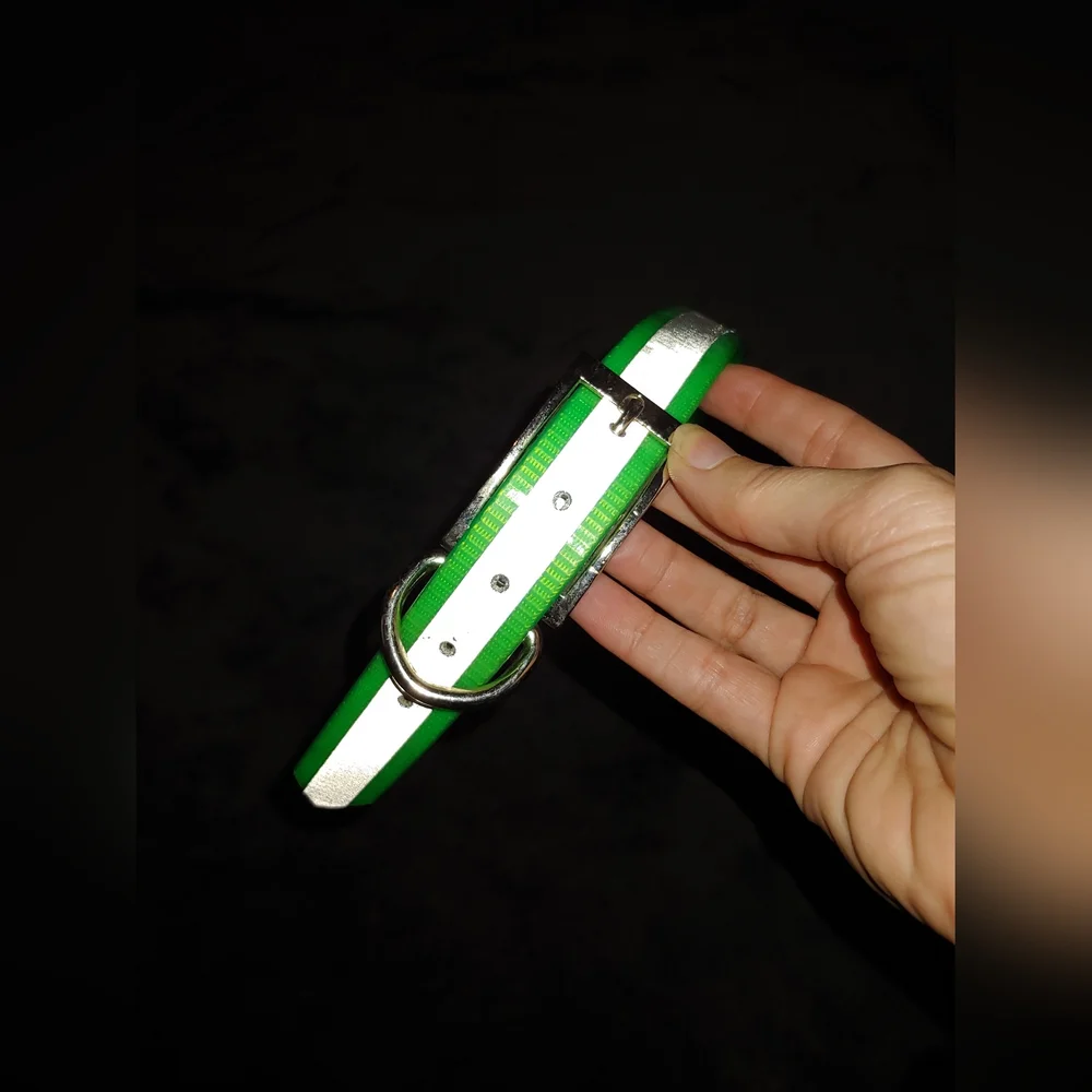 Amazon reflective collar